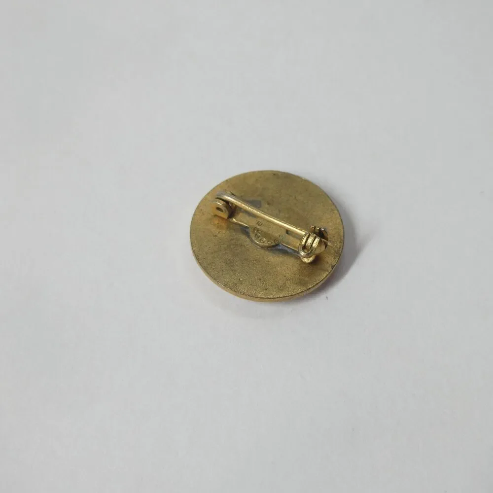 NEOP Junior New England Order of Protection Lapel Pin Vintage Enamel Fraternal